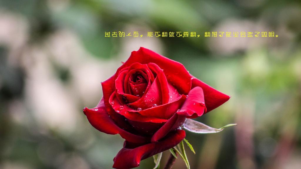 第一次恋爱有多重要？