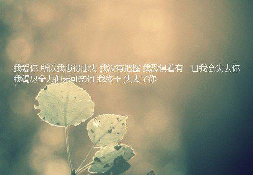 岁月养爱