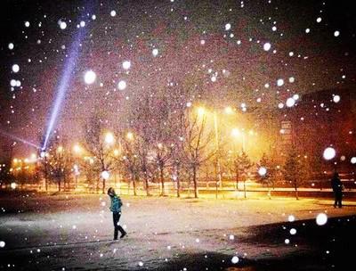 离开的仅仅是落叶