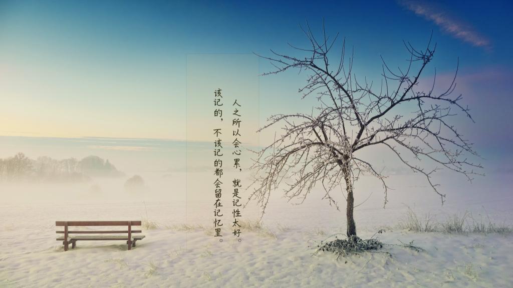 匆匆梦一场