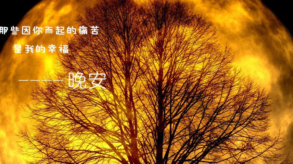 回忆再美也只是曾经