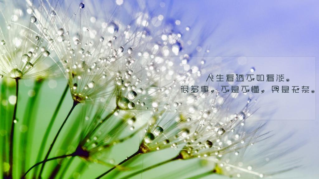 下一个流年再聚首，可好