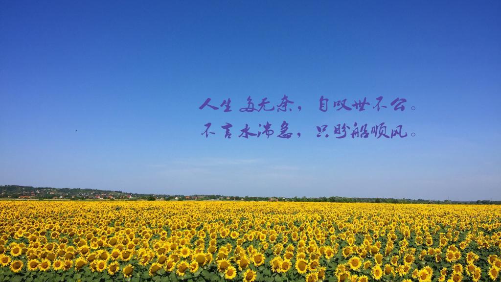 少妇的诱惑 对着镜子双腿张开 揉核h