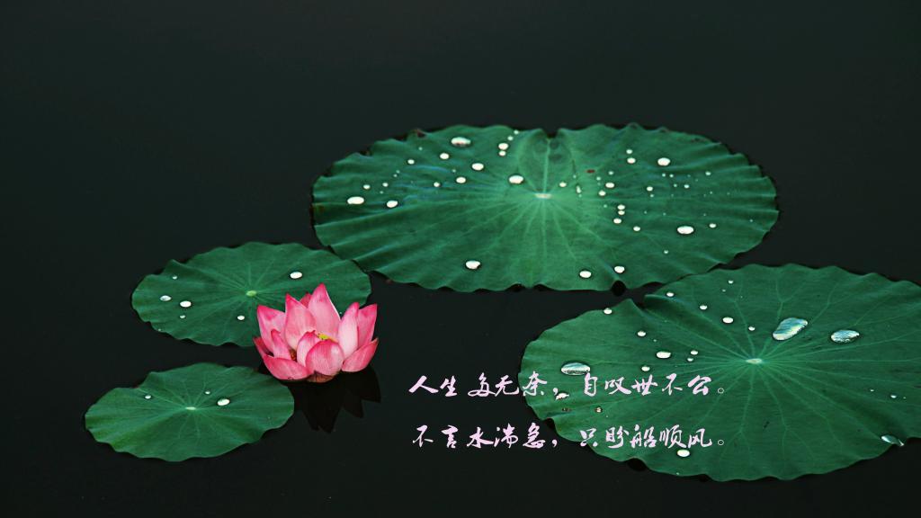 郭敬明经典语录—快乐