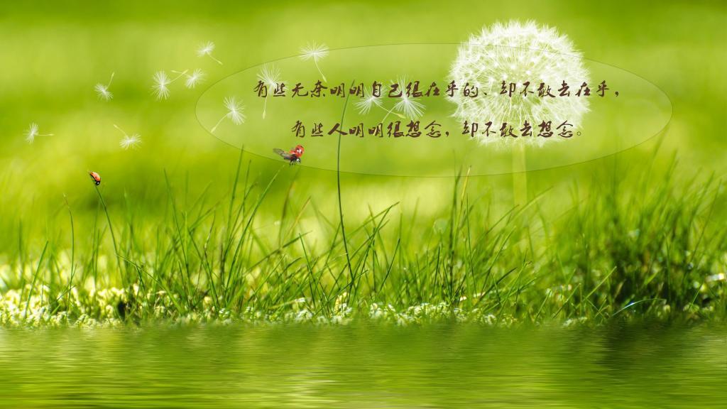 一句搞笑签名超拽简短,搞笑语录