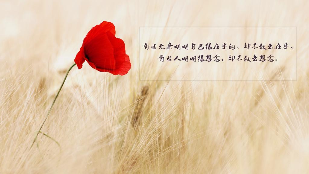 没有最好的,只有更好的