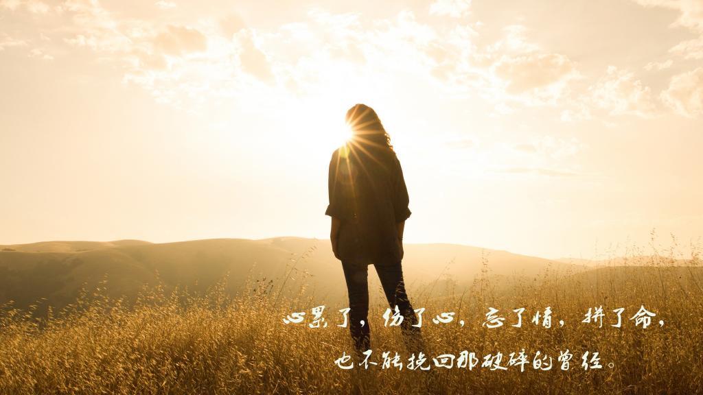 亲爱的曾琳，你快回来吧