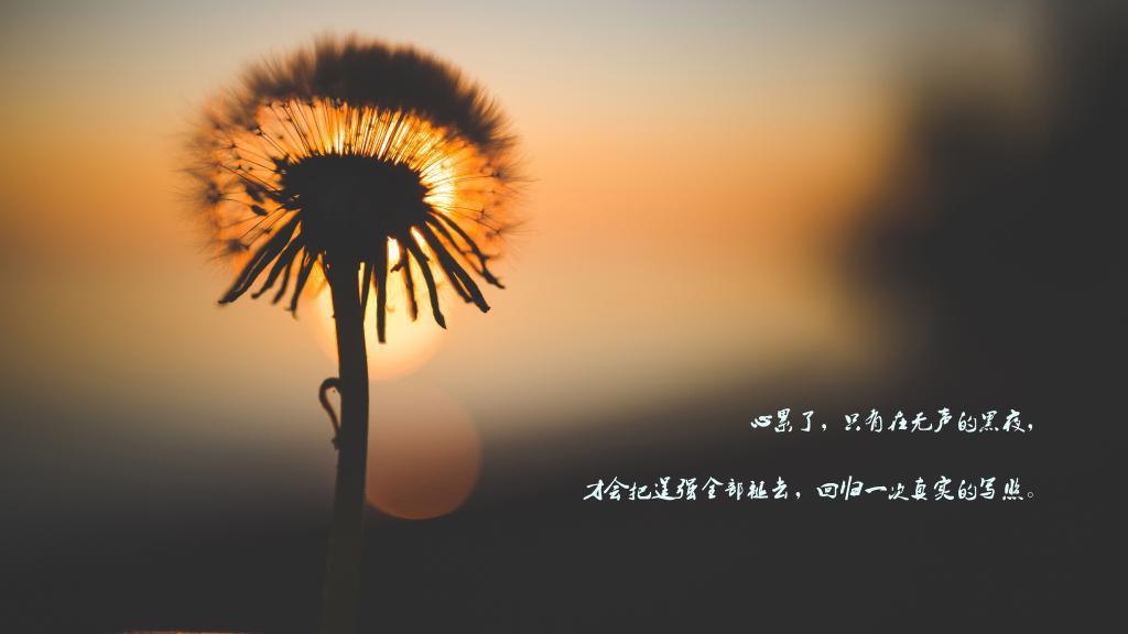 万花筒变出来的幸福