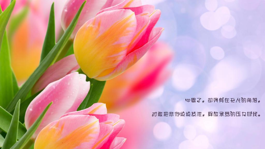 溺亡的女孩