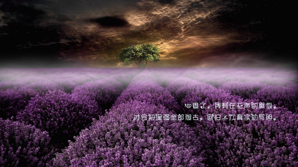 鲁迅美文摘抄600字