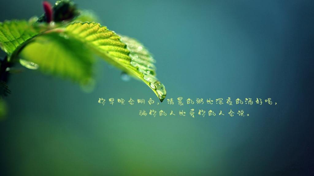 梯子爱情