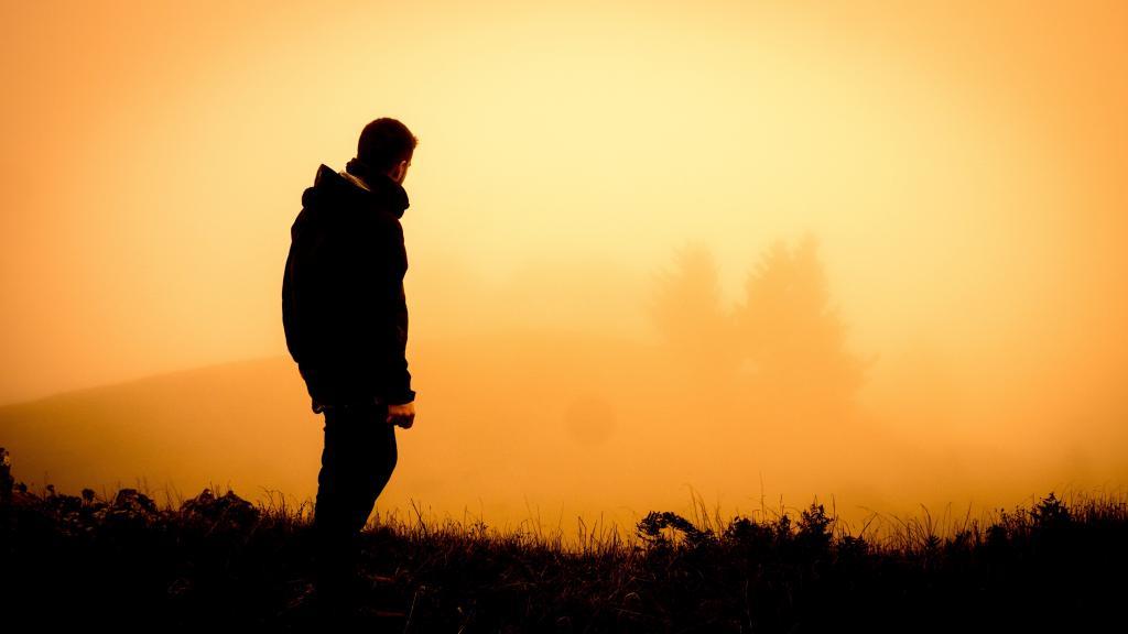 只有千锤百炼,才能成为好钢。2016励志的经典句子