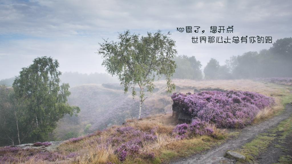 100句经典的空间短句大全 短句