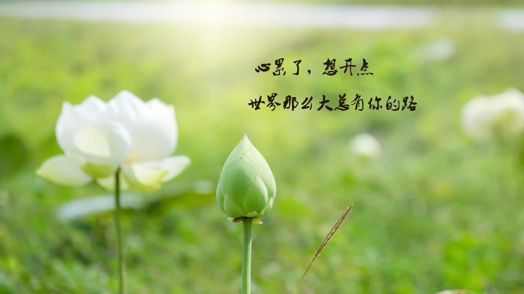 意境灯光爱情文字图片_你是我心中的光
