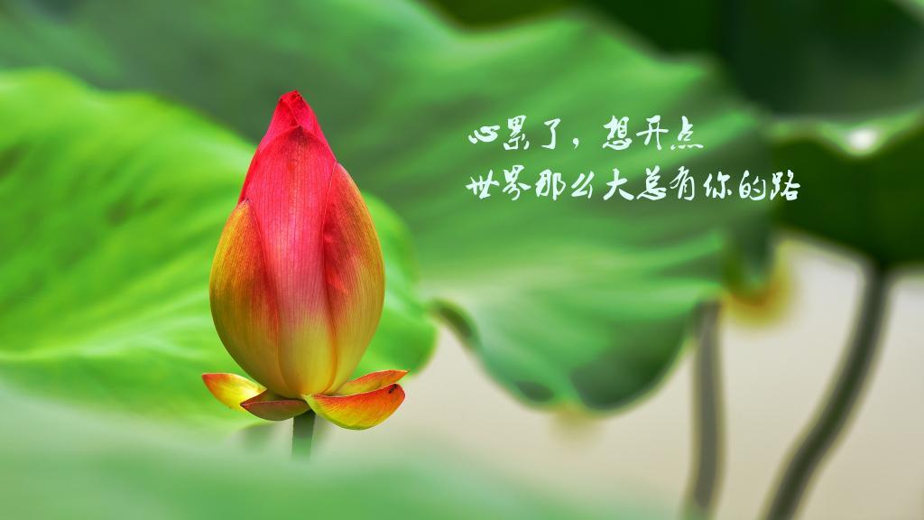 婚姻路上的红绿灯