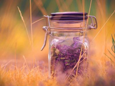 父爱是一阵微风，父爱如山，高大而巍峨