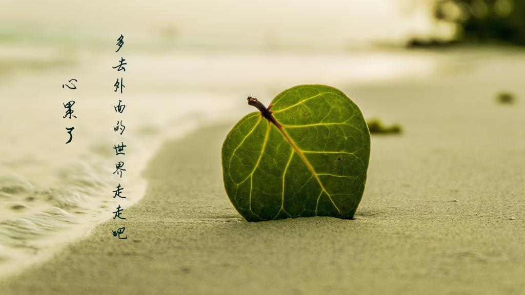 冬拾（5）
