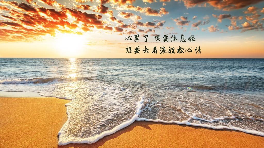 让我的爱温暖你的冷漠
