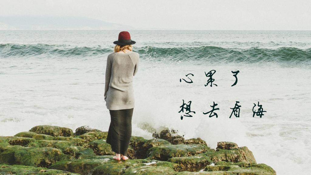 这些动物们还真是搞笑