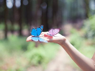 为什么我们做事常常不能坚持到底？