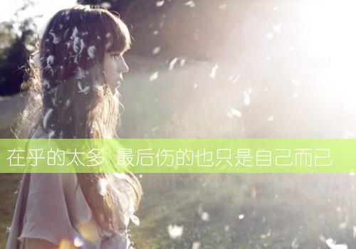 竹笔情怀