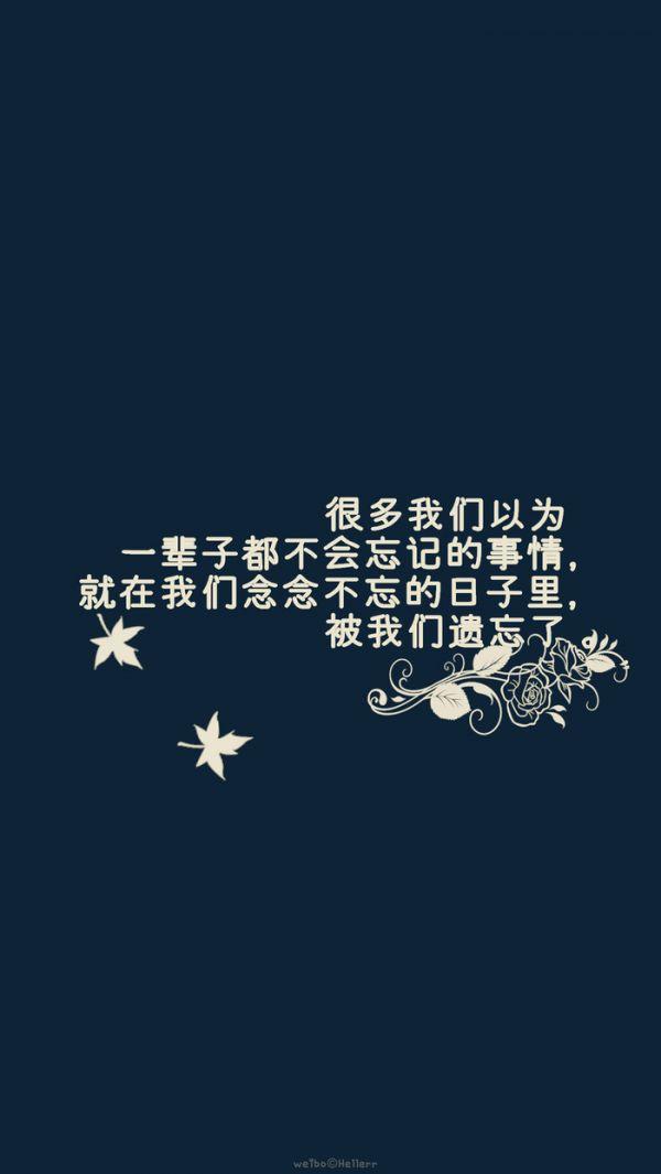我喜欢性情如猫的女子