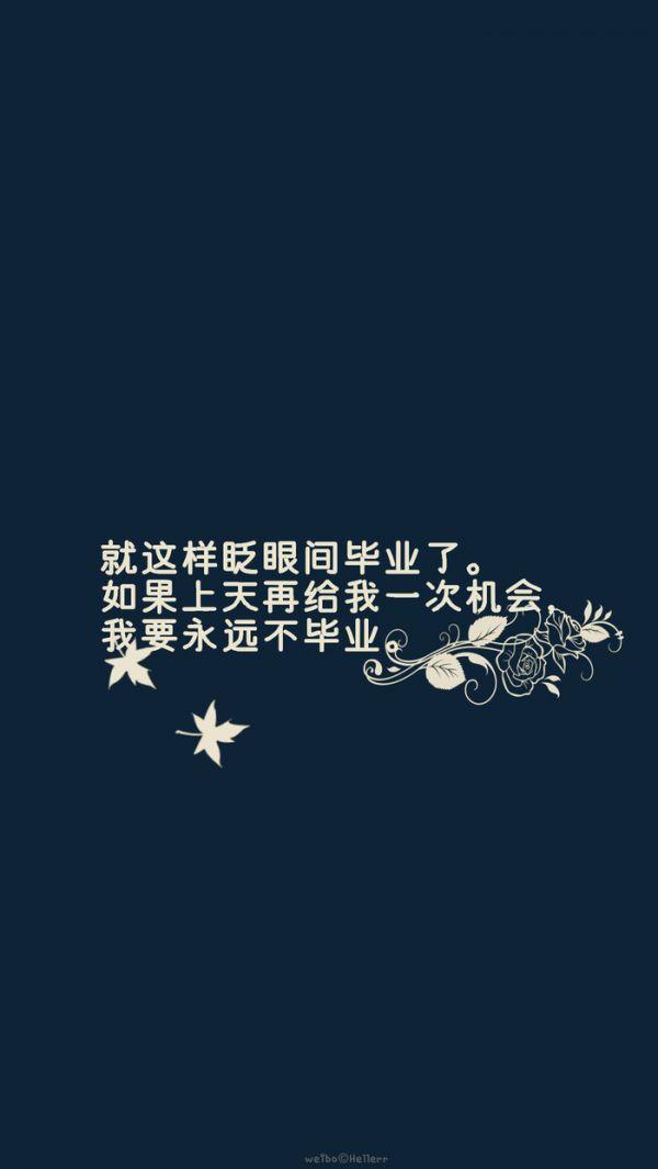 猫爱上蝴蝶