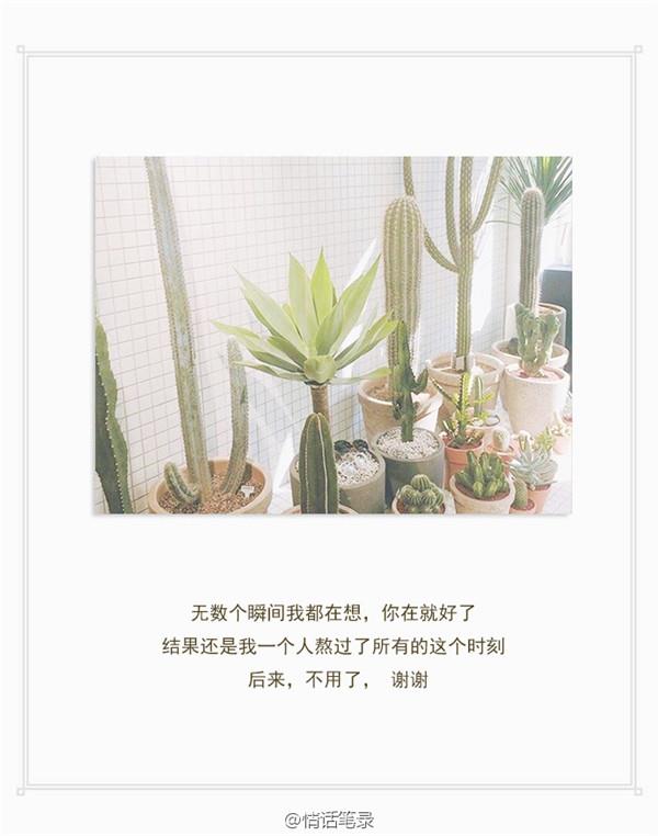 我一直在你身旁