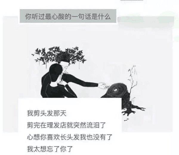 老爸老妈的爱情