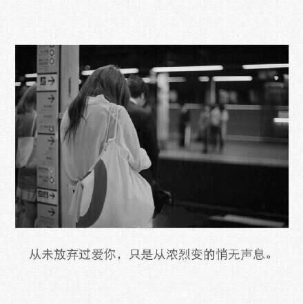 白衬衣上桂花开