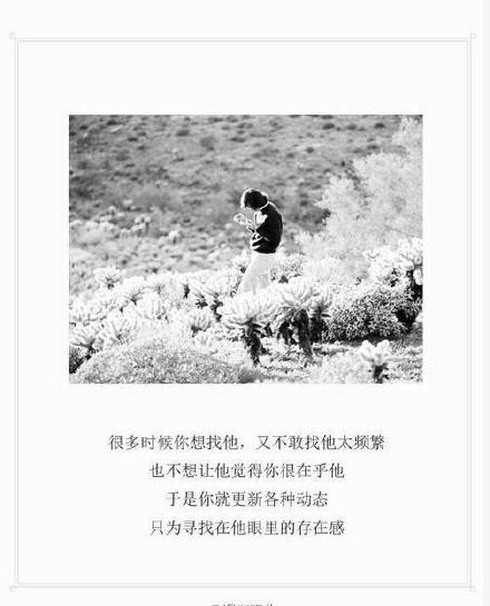 别墅猫灵