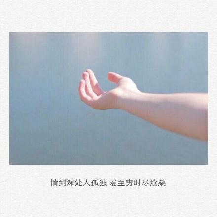 高中500字美文摘抄
