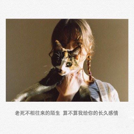 风雨飘摇，母亲的毕业证书