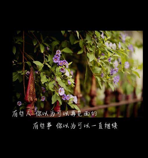 梦境中的杀鬼游戏