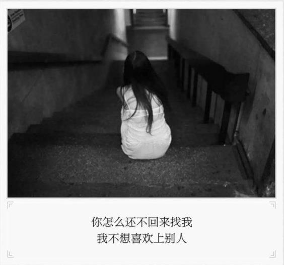 卫生间才是爱情的坟墓
