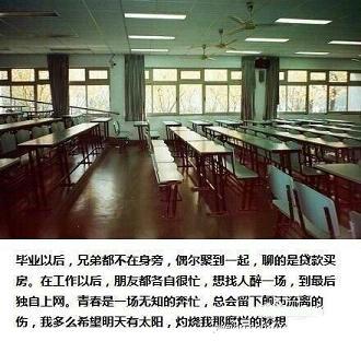 紫蝶缘恋的故事（一）