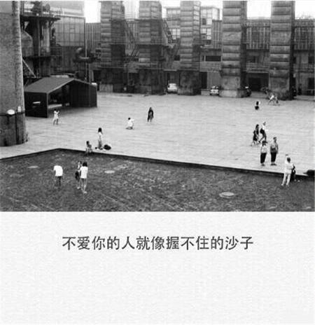 屋后的那棵沙枣树