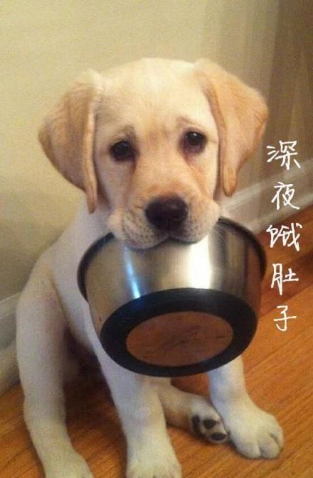 妈妈，您辛苦了