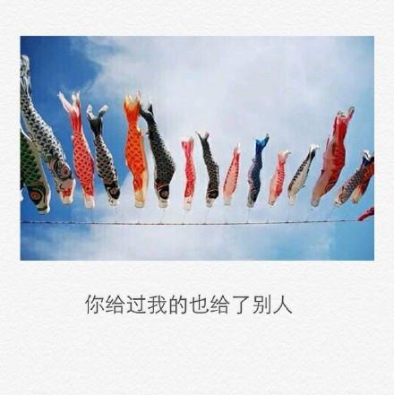 爱——就让他自在地生活