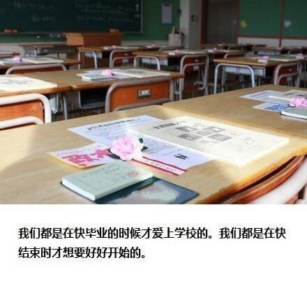 文学真美(图文)