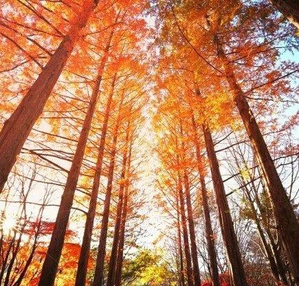 别错过那个你要挽留的人