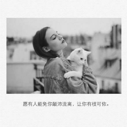 比较不错的刘墉语录分享