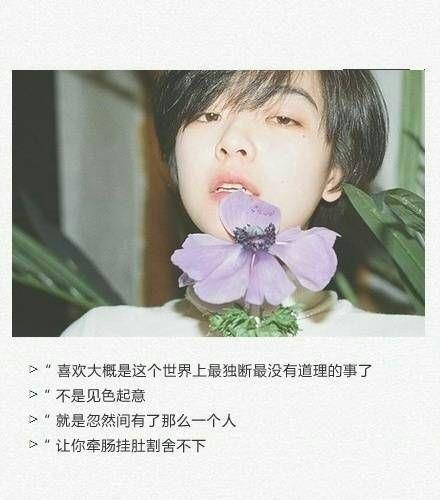 余生没有你也可以的情感说说:唯愿你好,方是欢喜