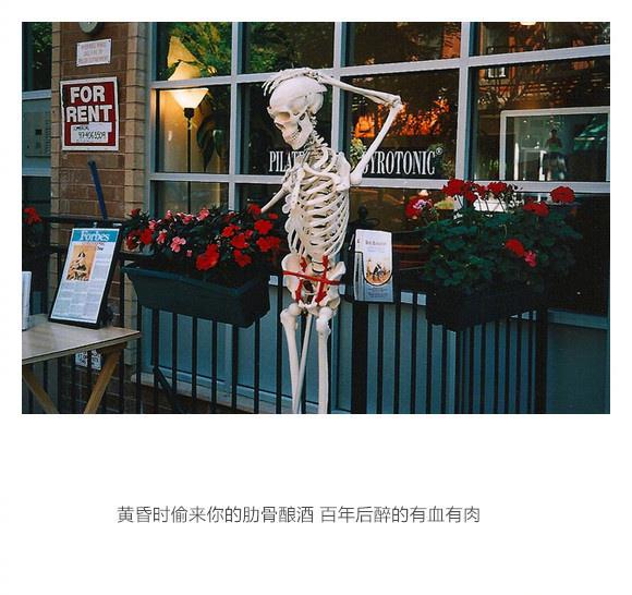 心动只要一瞬间，心碎也只在一转眼间