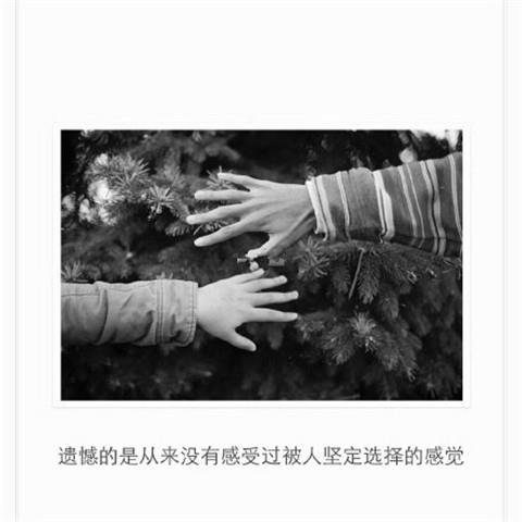 励志美文摘抄及赏析
