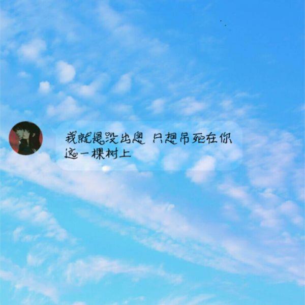 张小娴语录 人对女人的伤害,不一定是他爱上了别人