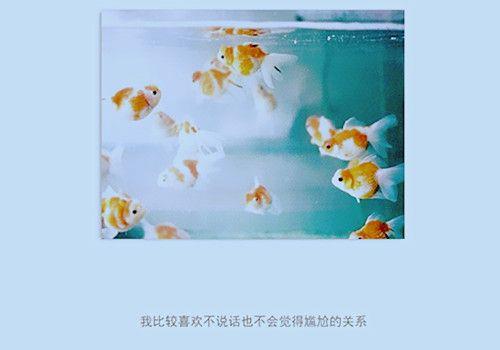 平安夜的小丑