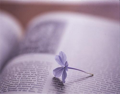 晚安心语正能量一句话