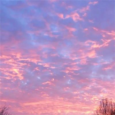 朝花夕拾读后感