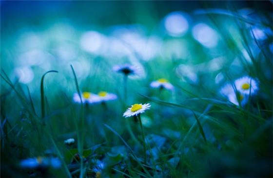 结婚多年,妻子仍是处女